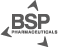 logo bsp